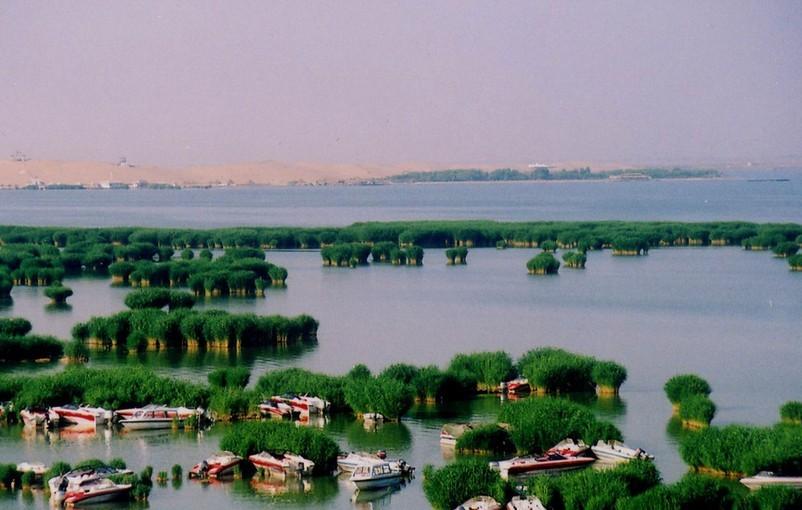 探寻宁夏塞上江南的多元魅力