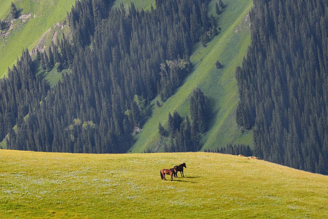 新疆，美丽神秘之地，播音稿中的视觉与听觉盛宴